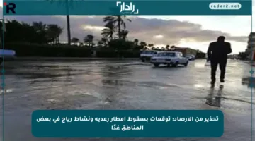 تحذير من الأرصاد: توقعات بسقوط أمطار رعدية ونشاط رياح في بعض المناطق غدًا